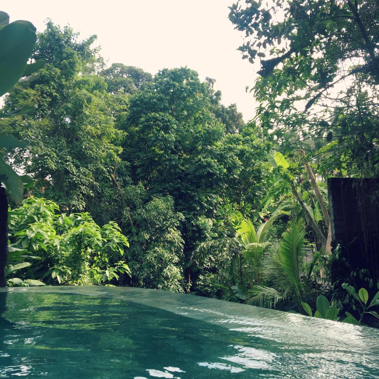 Raka Rai Bungalows อูบุด ภายนอก รูปภาพ